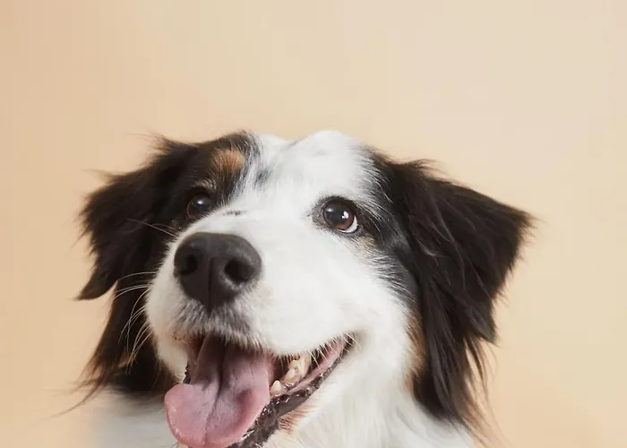 Kongresscenter Affiliated By Melia